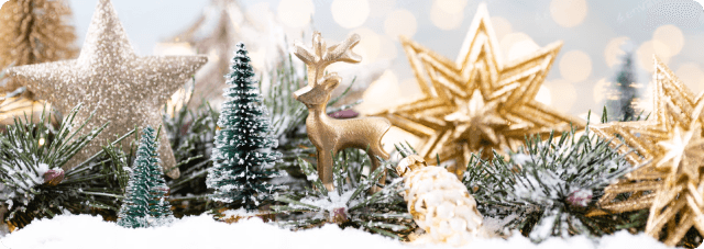 Section showcase image