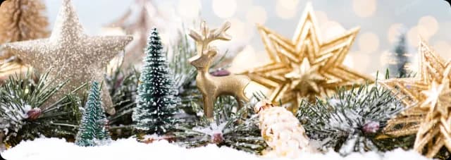 Section showcase image