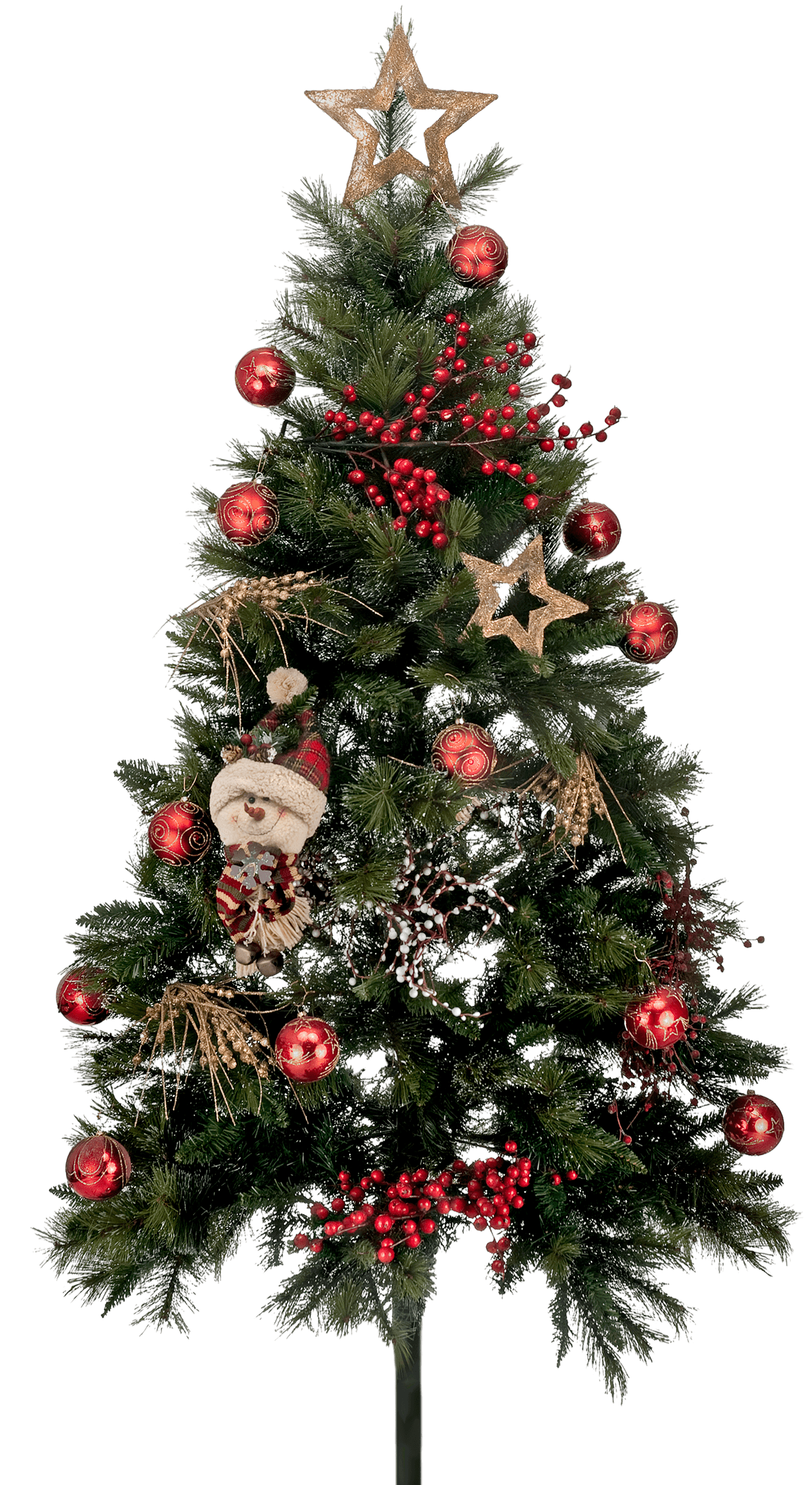 Decorated Christmas Tree