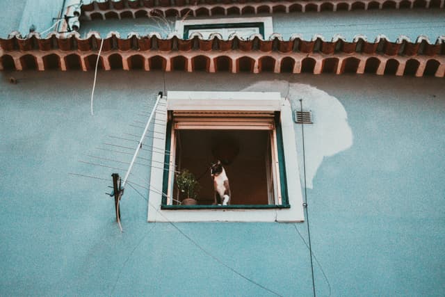 pexels-fotios-photos-1540258